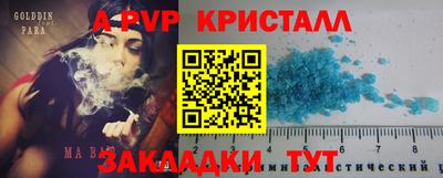 амф Новокубанск