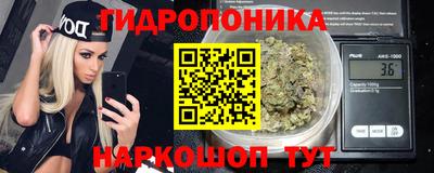 амф Новокубанск