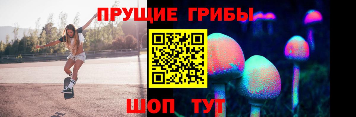 Галлюциногенные грибы Psilocybine cubensis Торжок