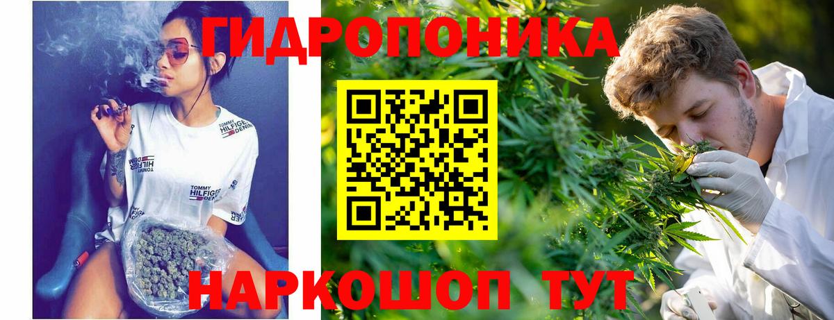 МАРИХУАНА планчик Торжок